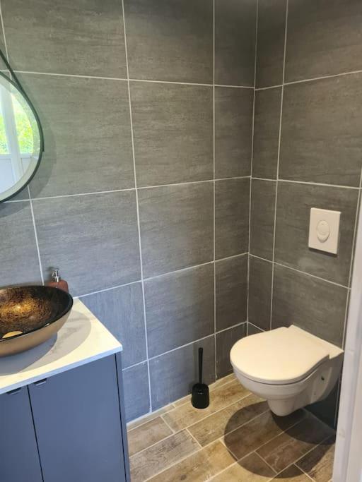 Le Chalet Des Amis Aurec-Sur-Loire Zewnętrze zdjęcie